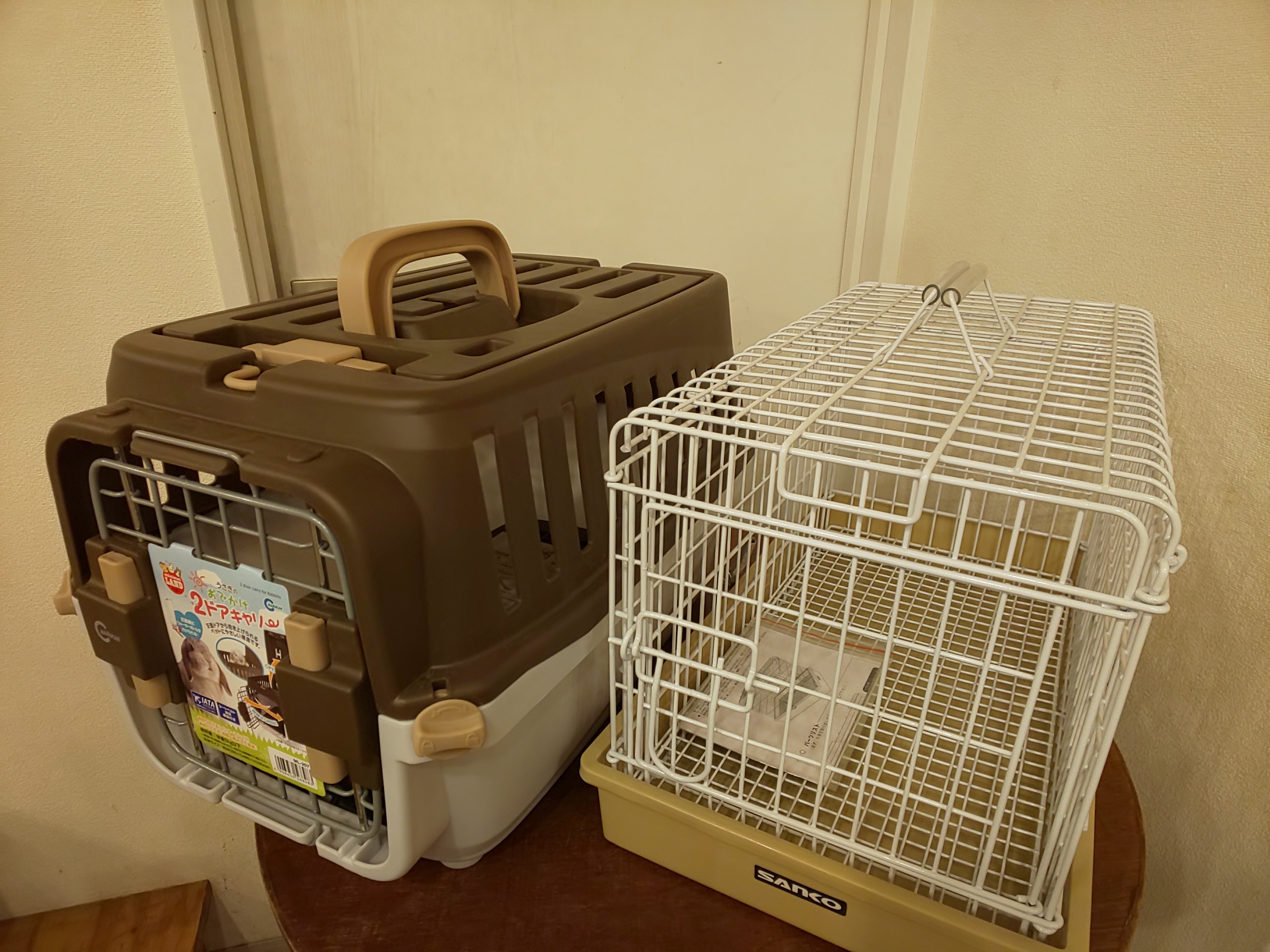 うさぎとのおでかけ】どんなキャリーバッグがいいの？ - うさぎ