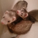 f802-2