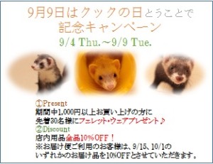 フェレットキャンペーン告知