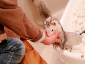 ガル＆夜0116-1