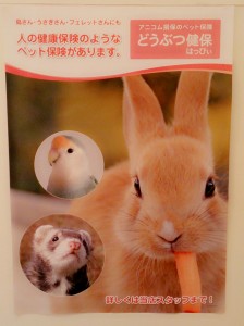 Camera360写真シェア