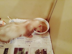 Camera360写真シェア (2)