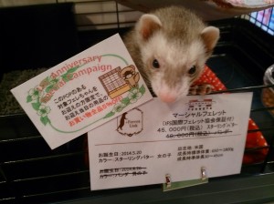 f021-