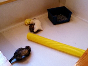 Camera360写真シェア (6)
