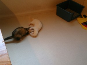 Camera360写真シェア (3)