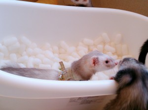 クウ0418