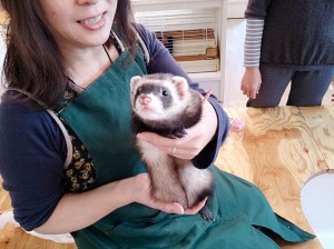 あんず0418