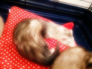 f0410-5