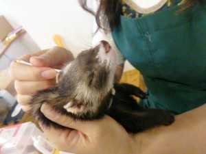 颯太0526-3