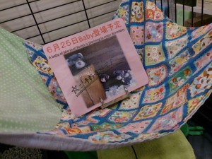 Camera360写真シェア