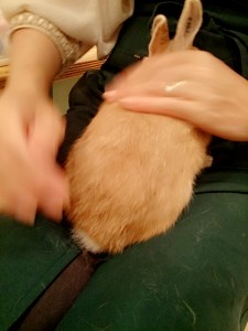 冬太2