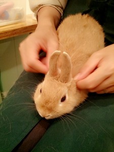 冬太3