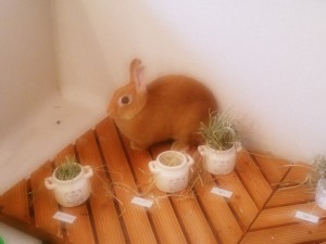 つばさちゃん1