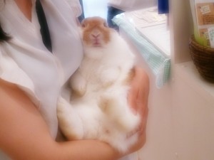 わかちゃん1