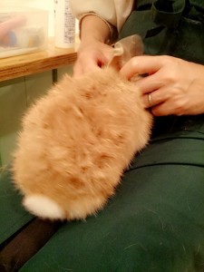 冬太4