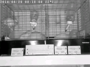 カメラ2