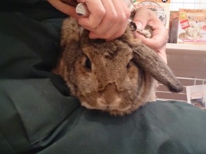 くう3