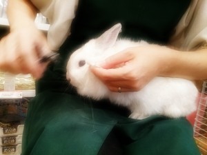 はなくん2