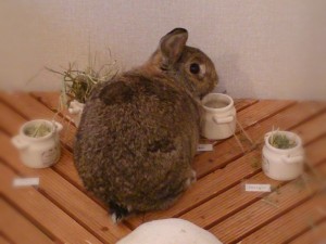 くう2