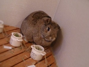 くう1