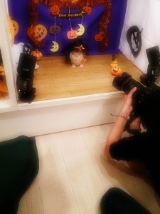 ハロウィン撮影会1