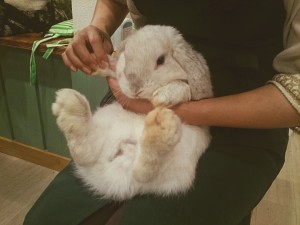 あさちゃん1