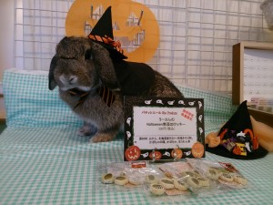 ハロウィングッズ