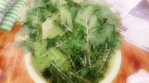 Camera360からシェア (8)