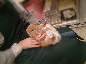 きんちゃん1115-1