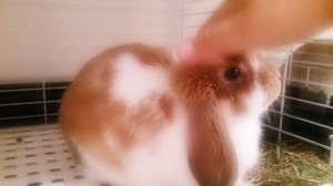 みる12~1