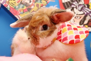 1waka_1_065