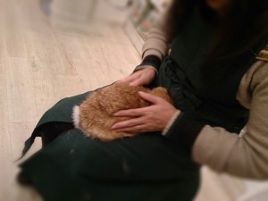 きんちゃん1220-2