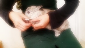 ぴょんた1229