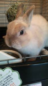 1422593650563