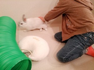 はなくん0116-3