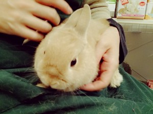冬太0220-3