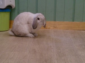 あさ0215-1