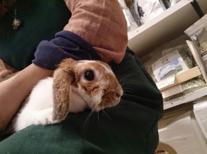 しゅり0211