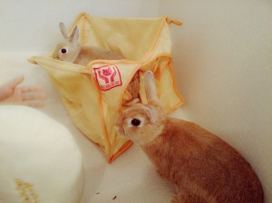 冬太0220-2