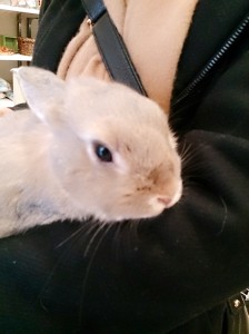 もか0222