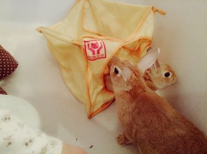 冬太0220-1