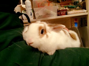 やすこ0228