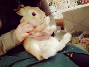 くるん1