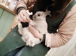 ぷーさん0308