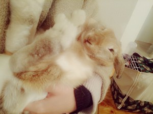 しーちゃん028