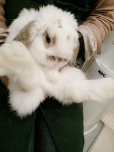 まろ0308