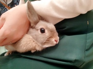 もか0419-1