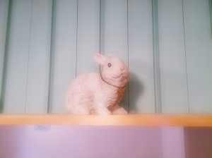Camera360写真シェア (6)