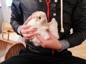 もんちゃん0419