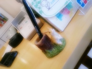 Camera360写真シェア (8)
